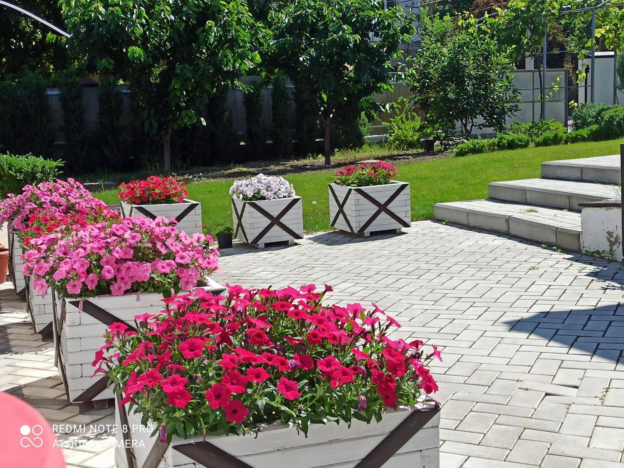 Hotel Экодом Bilhorod-Dnistrovsʼkyy Zewnętrze zdjęcie